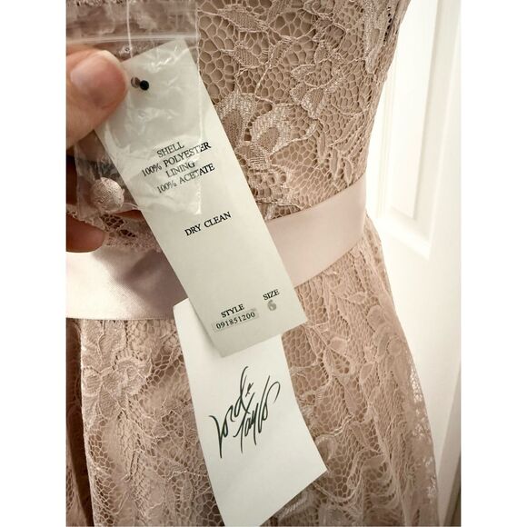 Adrianna Papell Womens Pink Lace Sweatheart Neck A Line Midi Dress Size 6 NWT - Picture 2 of 6